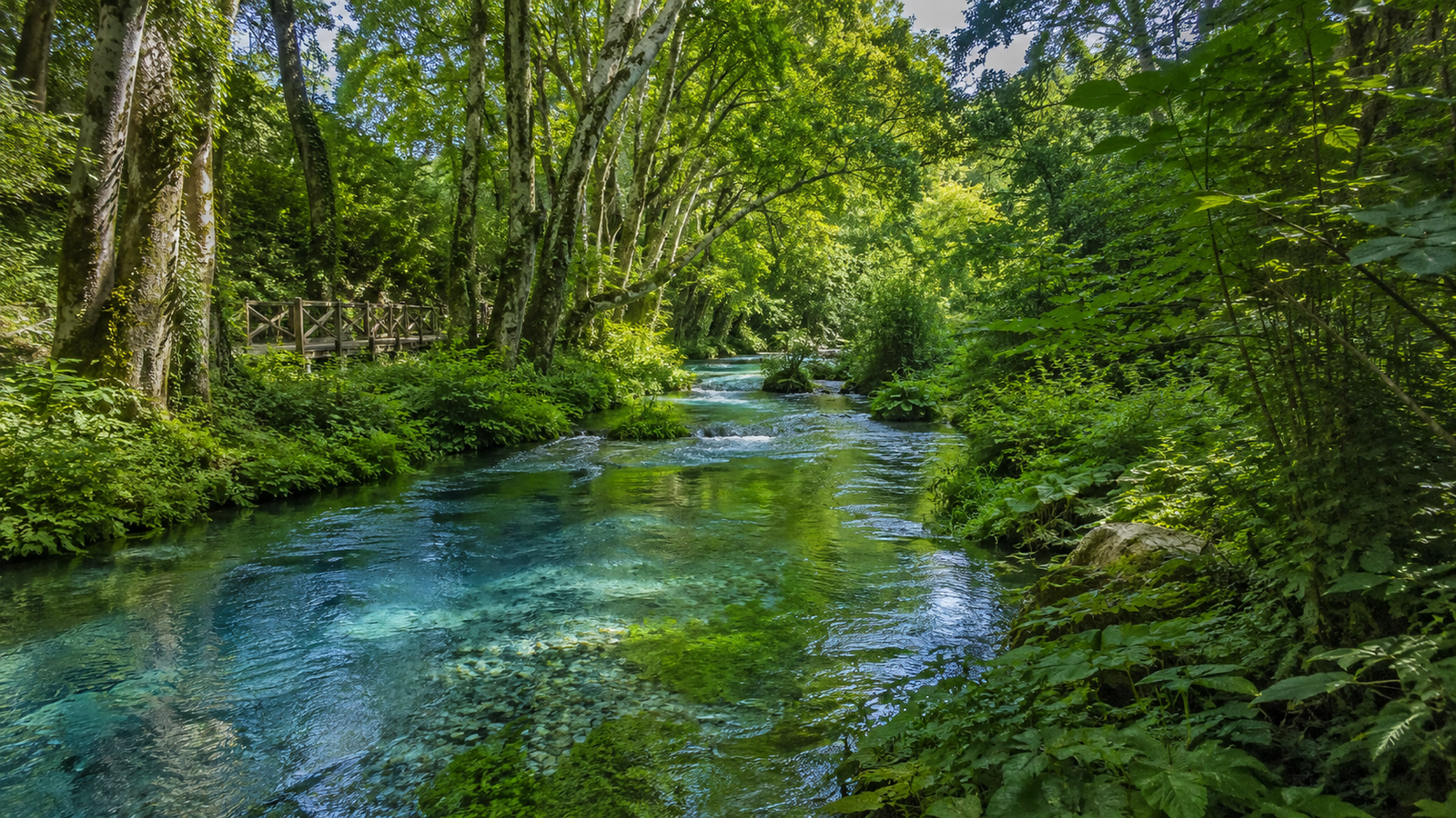 Bistricë River flowing through the green forest around the Blue Eye