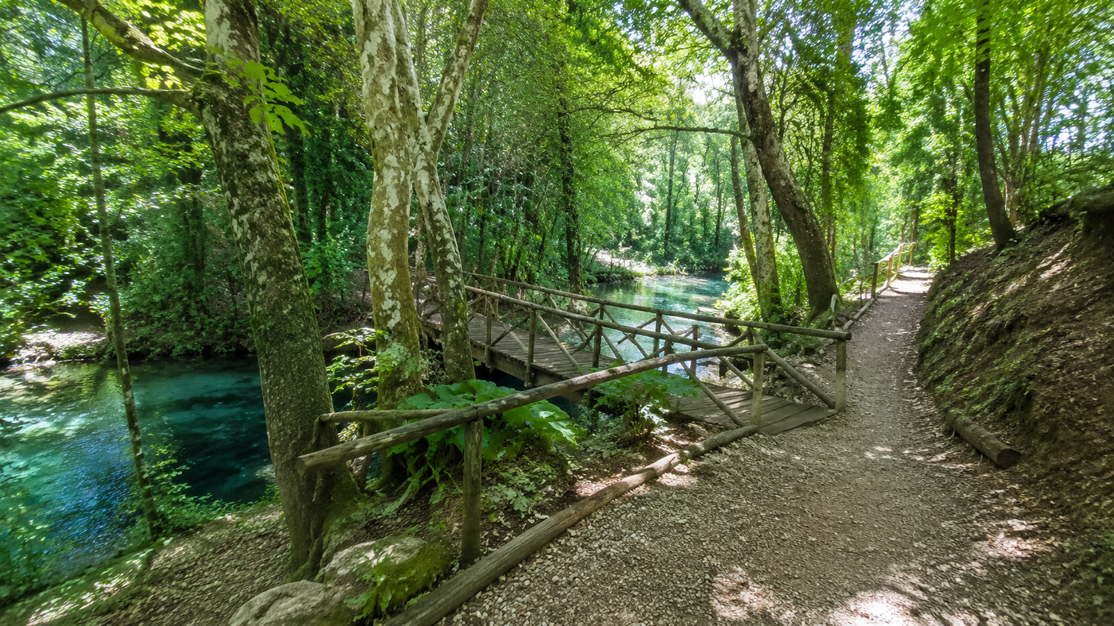 Wooded walking path leading through the protected landscape of the Blue Eye