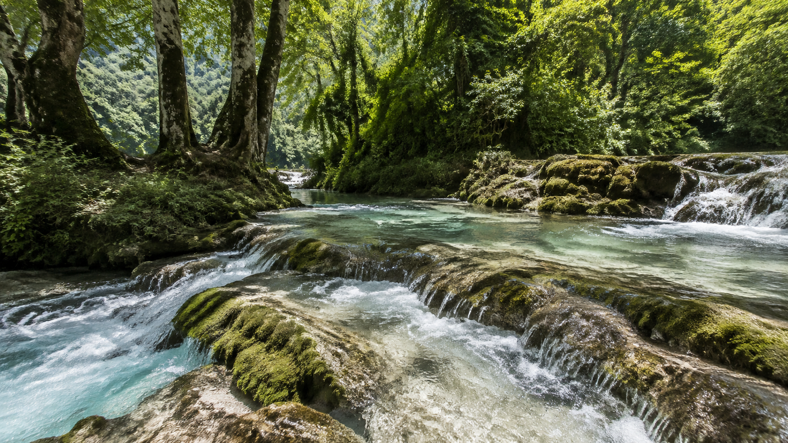 Clear cascades flowing through rocks and woodland near the Bistricë River